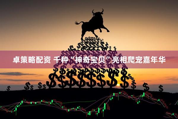 卓策略配资 千种“神奇宝贝”亮相爬宠嘉年华